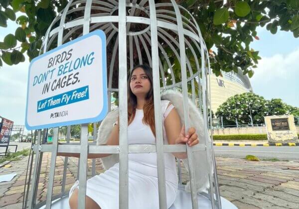 Caged ‘Bird’ Urges Amritsar Residents to Let Birds Fly Free