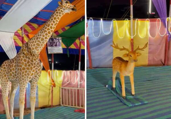 Gemini Circus Makes History as First in India to Introduce Robotic Animals, Awarded by PETA India