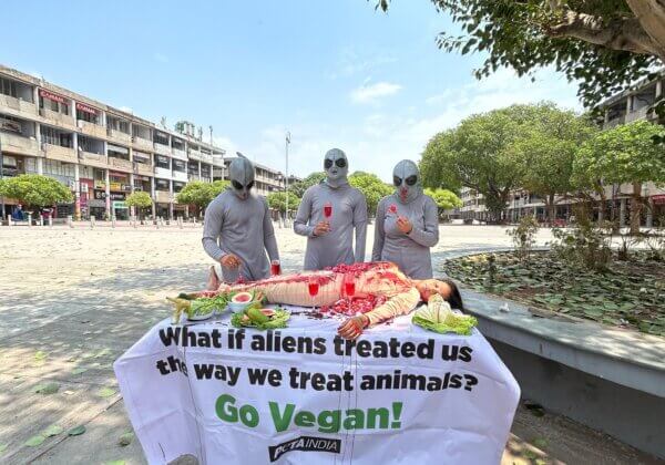 PETA इंडिया और आश्रय फ़ाउंडेशन के समर्थकों ने विश्व UFO दिवस के उपलक्ष्य में वीगन समर्थन अभियान के अंतर्गत ‘एलियंस’ ने मानव मांस का सेवन किया