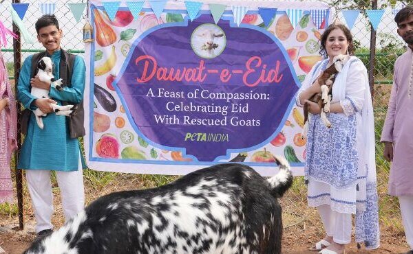 Vegan Muslim PETA India Supporters Celebrate Eid al-Adha With Rescued Goats