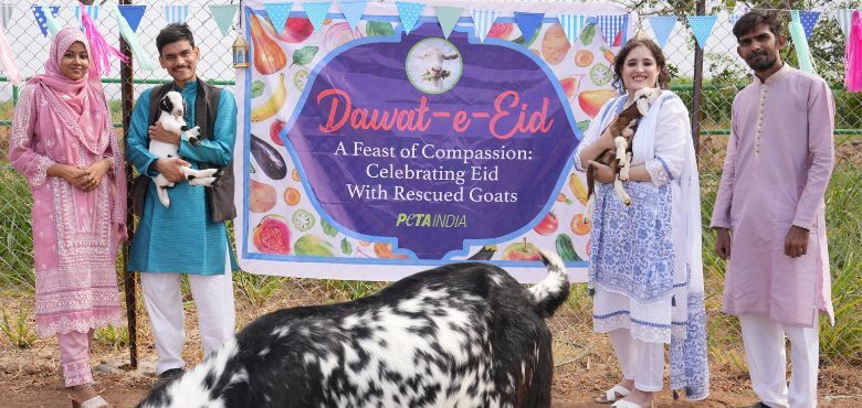 Vegan Muslim PETA India Supporters Celebrate Eid al-Adha With Rescued Goats