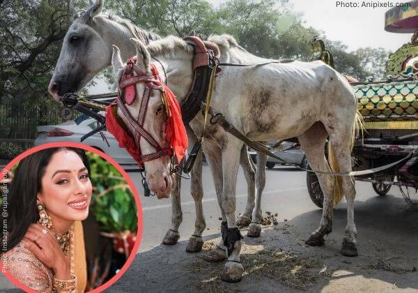 “अनुपमा” अभिनेत्री रूपाली गांगुली, पश्चिम बंगाल के मुख्यमंत्री से घोड़ा गाड़ियों को ई-गाड़ियों से बदले जाने के आह्वान में PETA इंडिया के साथ शामिल हुईं
