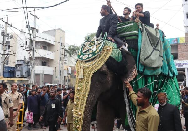 PETA India Demands Termination of Veterinarians Who Issued Fraudulent Health Certificates for Elephant Roopavathi, Condemns Cruelty During Processions