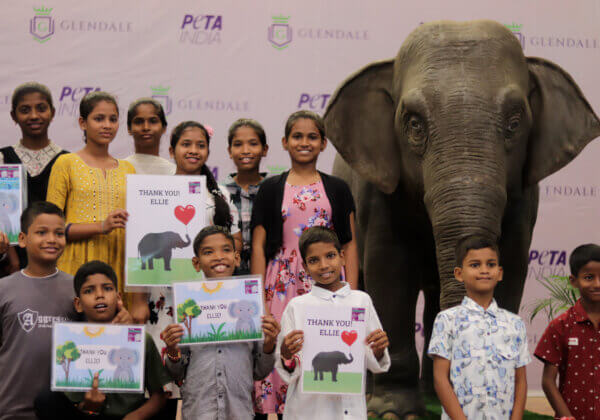 Asia’s First Empathy-Building Animatronic Elephant, Ellie, Voiced by Actor Dia Mirza, Visits Hyderabad School Courtesy of PETA India