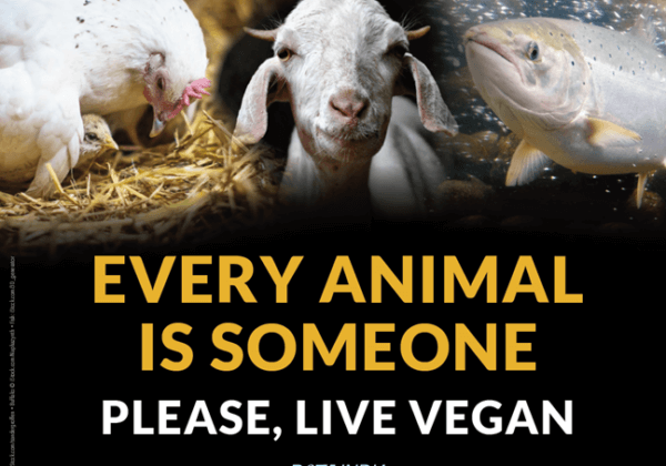 ‘Every Animal Is Someone’: Animals Implore Public to Live Vegan in PETA India’s ‘World Day for the End of Speciesism’ Campaign