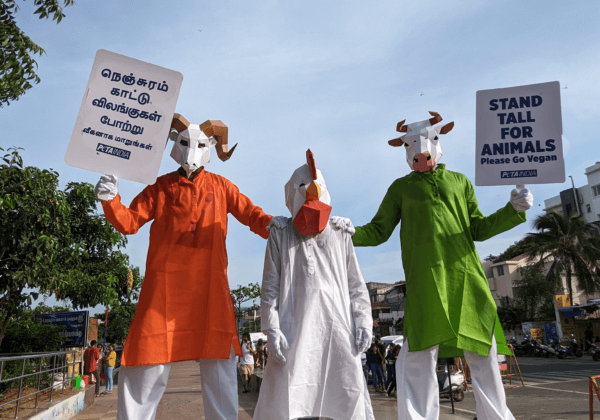 Friends in High Places: 3.5-Metre-Tall ‘Animals’ on Stilts Urge Public to Stand Tall for Animals by Going Vegan