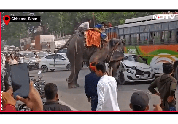 एक व्यक्ति की भयानक मौत के बाद, PETA इंडिया ने बिहार में हिंसात्मक व्यवहार करने वाले हाथी के पुनर्वास की मांग की