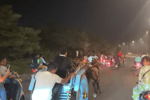 Mira-Bhayandar, Vasai-Virar Police Take Action Against Illegal Horse-Cart Race After PETA India Complaint