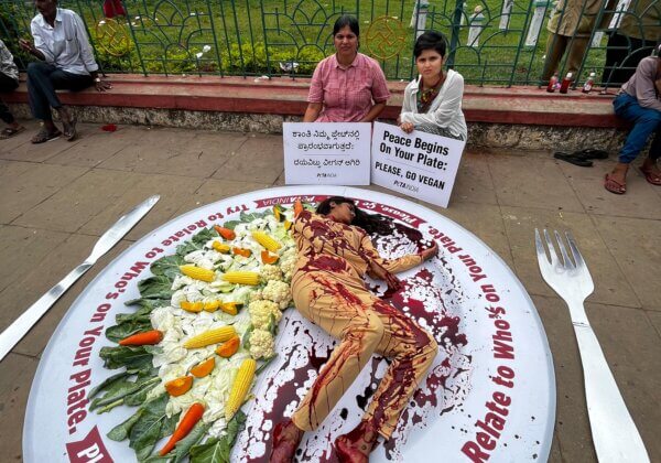 ‘Bloodied’ Woman ‘Served’ on a Plate in a PETA India and Vegans of Mysuru Pro-Vegan Demonstration Ahead of World Food Day