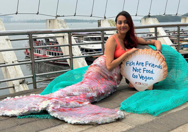 ‘Mermaid’ Shows Her Love for Fish During World Vegan Month