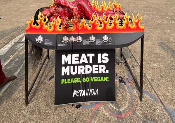 ‘Charred’ Human ‘Barbecued’ for International Meatless Day