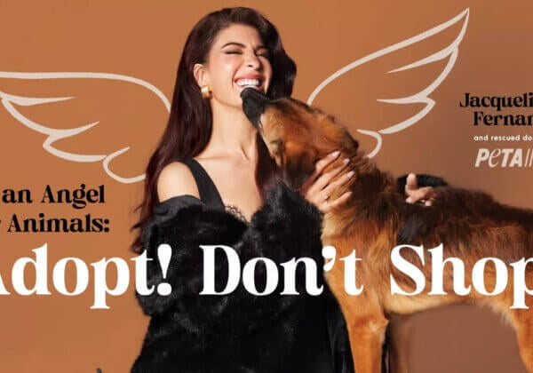 Jacqueline Fernandez Is an Angel for Animals in New PETA India Adoption Campaign