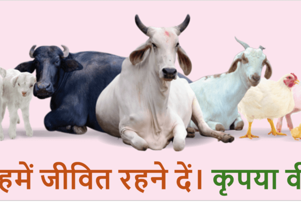 PETA इंडिया के नववर्ष 2025 अभियान में पशुओं ने इंसानों से उनकी हत्या न करने का अनुरोध किया