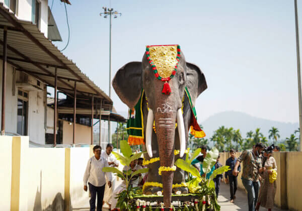 Karnataka Ministers Attend Launch of Mechanical Elephant at Shri Jagadguru Renukacharya Temple in Chikkamagaluru Gifted by Actor Shilpa Shetty Kundra, PETA India and CUPA