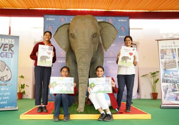 Jaipur School Visited by Asia’s First Empathy Building Animatronic Elephant ‘Ellie’, Voiced by Actor Dia Mirza, Courtesy of PETA India