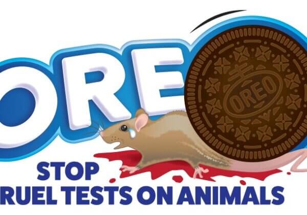 Animals Force-Fed Feces and Sliced Open—Urge Oreo Maker to End Cruel Experiments