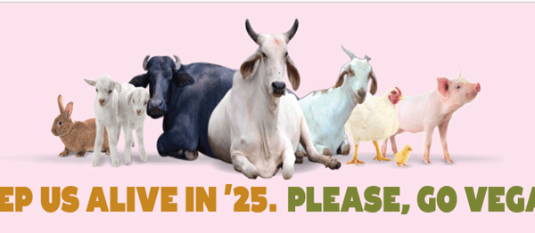 Animals Pray ‘Keep us Alive in ’25’ in New Year PETA India Campaign