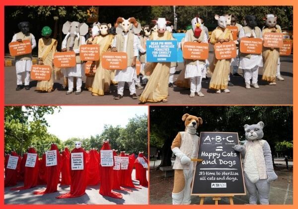 Inspiring Change: PETA India’s Top 10 Demonstrations of 2024