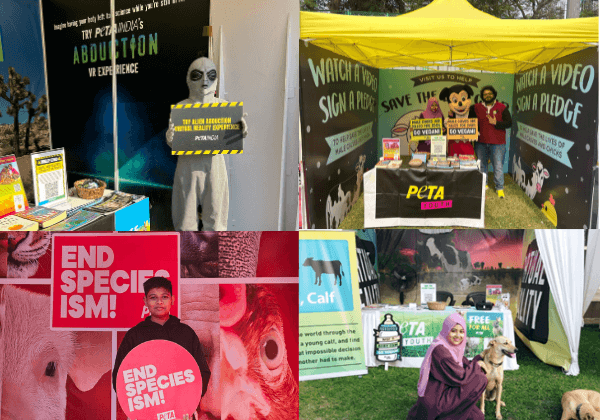 A Year of Action: How PETA Youth Sparked Change in 2024