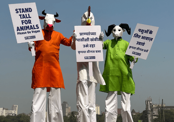 Standing Tall for Animals This Republic Day: 3.5-Metre-High ‘Cow,’ ‘Chicken’ and ‘Goat’ to Urge Public to Honour Constitution by Eating Vegan