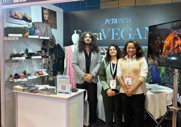 Vegan Vogue: PETA India Champions Vegan Fashion at India Fashion Forum 2025