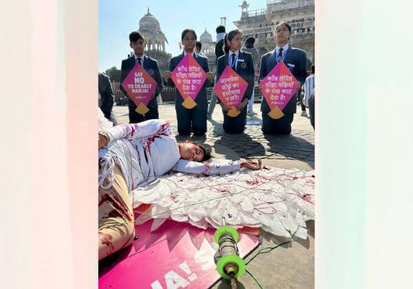 ‘Injured Bird’ Attached to a Kite: Part of SRN International School Students Appeal to Jaipur Residents to Consider Birds on Makar Sankranti