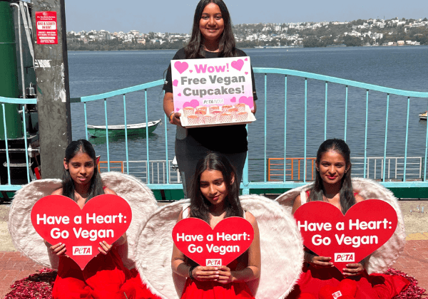 Valentine ‘Angels’ from PETA India Descend on Bhopal with Message of Compassion