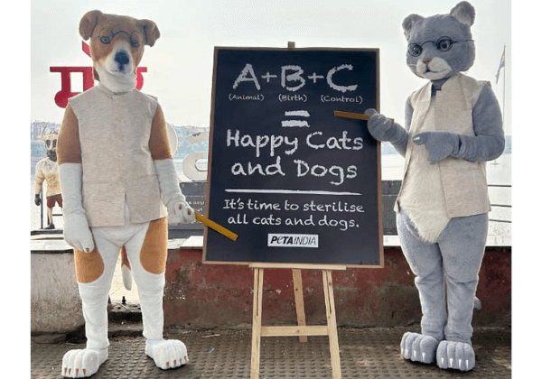 Giant ‘Cat’ and ‘Dog’ Mark World Spay Day With Lesson on ABCs: Animal Birth Control