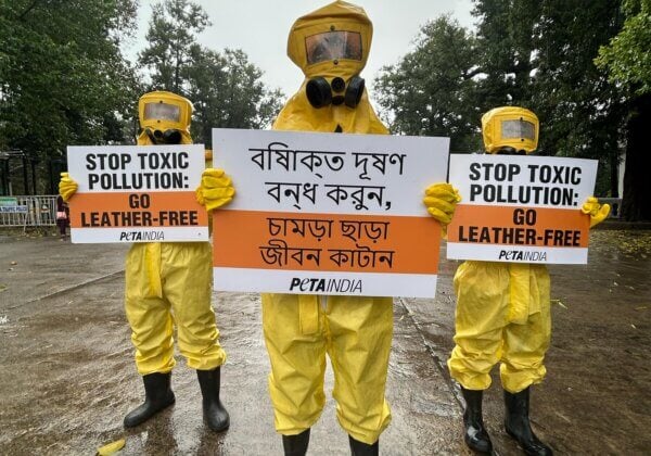 PETA India Supporters in Biohazard Suits Protest Against Lethal Leather Industry Following Tragic Deaths of Sanitation Workers in Kolkata