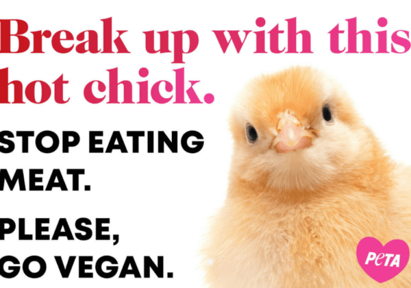 PETA India Valentine’s Day Campaign Urges Students to ‘Break Up’ With a Hot Chick