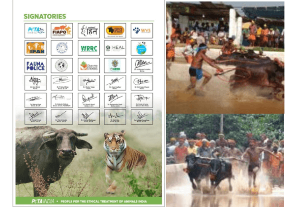 30 Wildlife and Cattle Protection Organisations and Veterinarians Petition Karnataka Government to Cancel Disruptive Kambala Event at Pilikula Biological Park