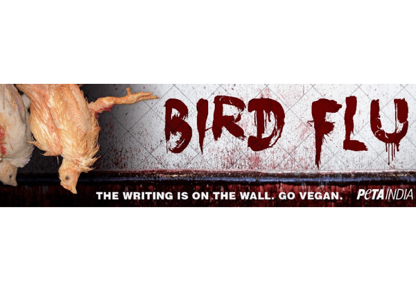 Bird Flu Outbreaks Prompt PETA India ‘Go Vegan’ Billboard